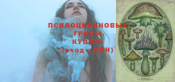 МДПВ Алзамай