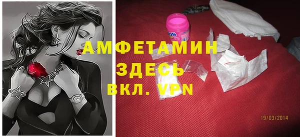 стаф Алексин