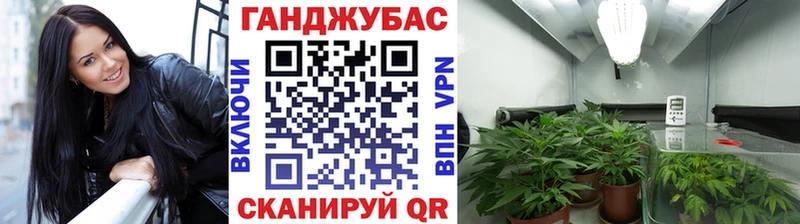 mega ссылка  купить наркотик  Тамбов  Каннабис LSD WEED 